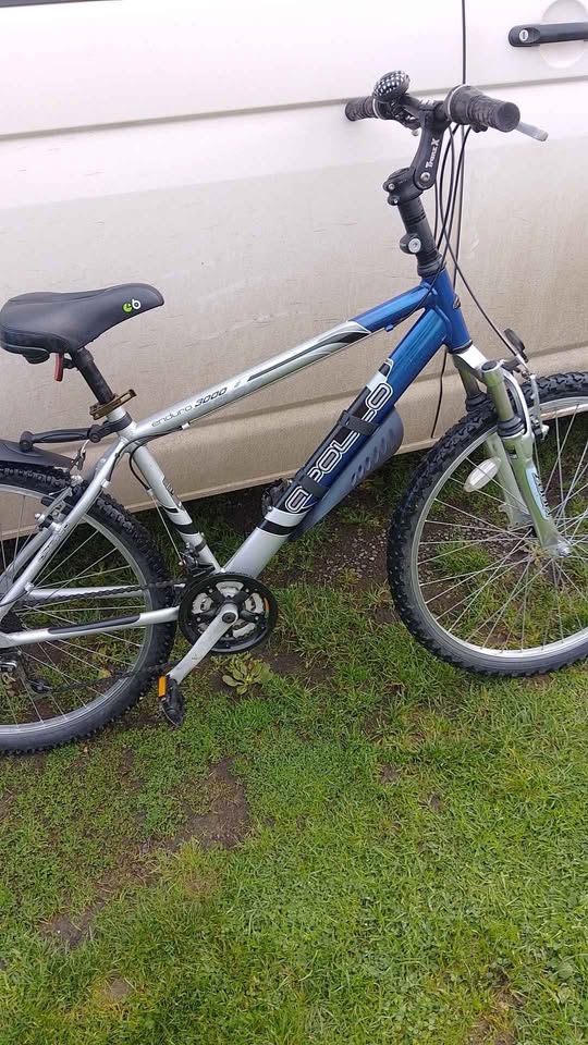 Gents mountain bike in really nice condition, fully serviced COLLECTION ONLY LINCOLNSHIRE